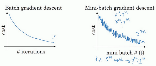 batch and mini-batch